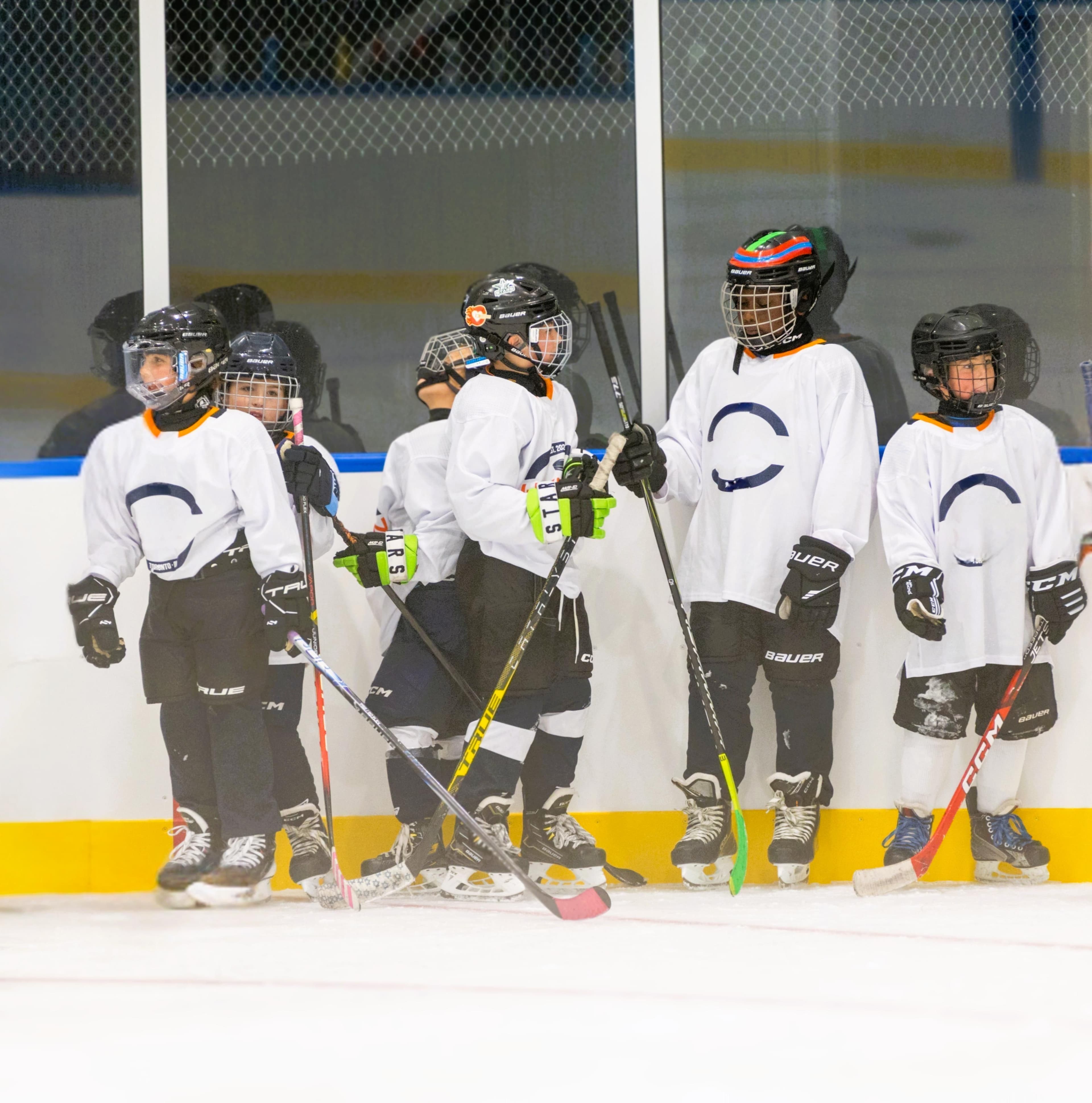 Unity Hockey Program